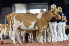 2A9A0320-Edit 2A9A0320-Edit