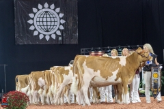 2A9A0322-Edit 2A9A0322-Edit