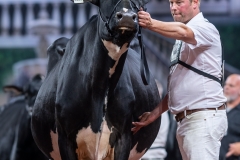 AR302045-2 AR302045-2