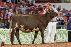 2A9A5775-30505 2A9A5775-30505