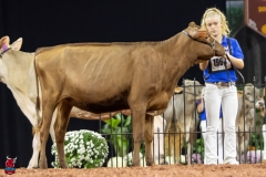 2A9A5778-30506 2A9A5778-30506