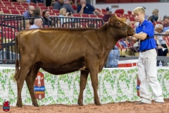 2A9A5781-30507 2A9A5781-30507