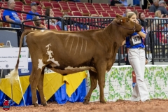 2A9A5783-30508 2A9A5783-30508