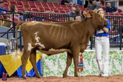 2A9A5784-30509 2A9A5784-30509