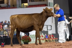 2A9A5786-30510 2A9A5786-30510