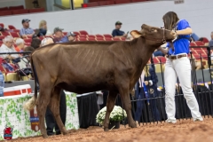 2A9A5789-30511 2A9A5789-30511