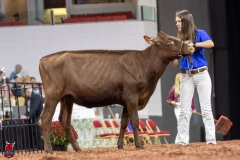 2A9A5795-30513 2A9A5795-30513