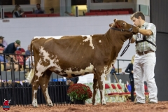 2A9A5796-30514 2A9A5796-30514