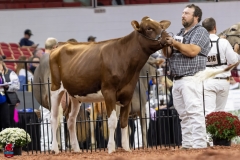 2A9A5804-30516 2A9A5804-30516