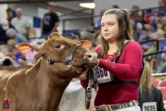 2A9A5812-30519 2A9A5812-30519