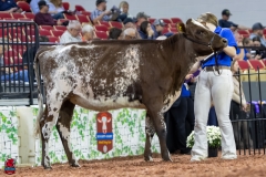 2A9A5815-30520 2A9A5815-30520