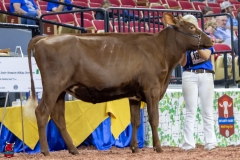 2A9A5822-30522 2A9A5822-30522