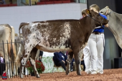 2A9A5823-30523 2A9A5823-30523