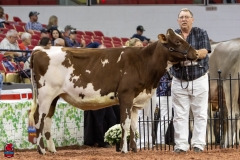 2A9A5824-30524 2A9A5824-30524