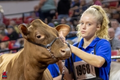 2A9A5827-30525 2A9A5827-30525