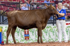 2A9A5828-30526 2A9A5828-30526