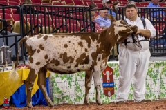 2A9A5830-30527 2A9A5830-30527