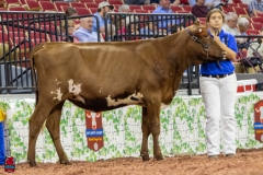 2A9A5837-30528 2A9A5837-30528