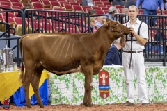 2A9A5840-30529 2A9A5840-30529