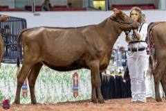 2A9A5843-30530 2A9A5843-30530