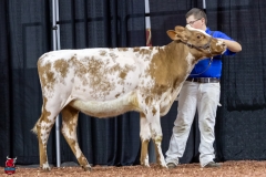 2A9A5844-30531 2A9A5844-30531