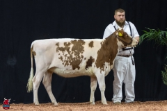 2A9A5846-30532 2A9A5846-30532