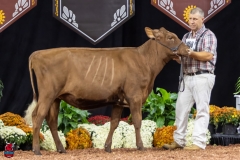 2A9A5848-30533 2A9A5848-30533