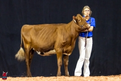 2A9A5850-30534 2A9A5850-30534