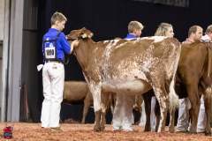 2A9A5856-30538 2A9A5856-30538