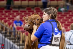 2A9A5858-30539 2A9A5858-30539