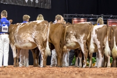 2A9A5864-30540 2A9A5864-30540