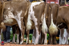 2A9A5865-30541 2A9A5865-30541