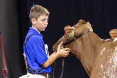 2A9A5866-30542 2A9A5866-30542