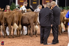 2A9A5873-30544 2A9A5873-30544