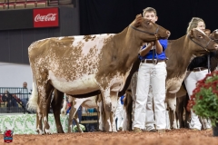 2A9A5885-30547 2A9A5885-30547