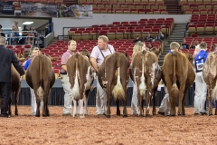 2A9A5893-30551 2A9A5893-30551