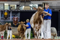 2A9A6382-31089 2A9A6382-31089