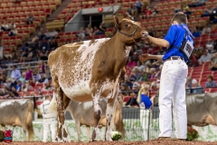 2A9A6388-31090 2A9A6388-31090