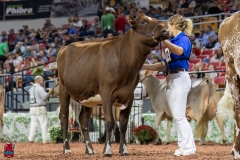 2A9A6392-31091 2A9A6392-31091