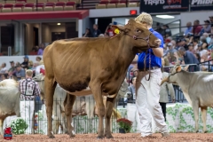 2A9A6396-31092 2A9A6396-31092