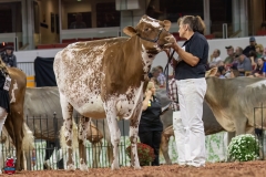 2A9A6399-31093 2A9A6399-31093