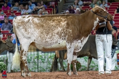 2A9A6415-31095 2A9A6415-31095