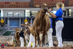 2A9A6418-31096 2A9A6418-31096