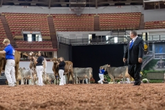 2A9A6421-31098 2A9A6421-31098