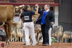 2A9A6427-31099 2A9A6427-31099