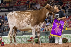 2A9A6462-31104 2A9A6462-31104