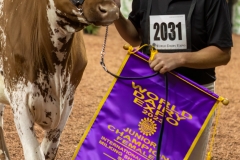 2A9A6469-31105 2A9A6469-31105