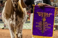 2A9A6488-31106 2A9A6488-31106