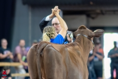 A103626-31087 A103626-31087