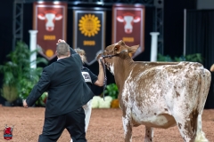 A103703-31088 A103703-31088